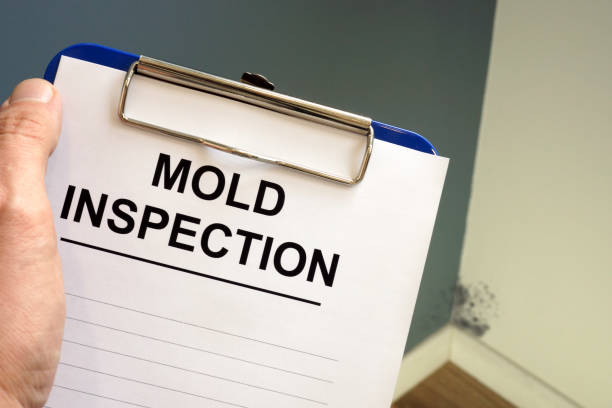 Best Real Estate Mold Inspection  in Boronda, CA